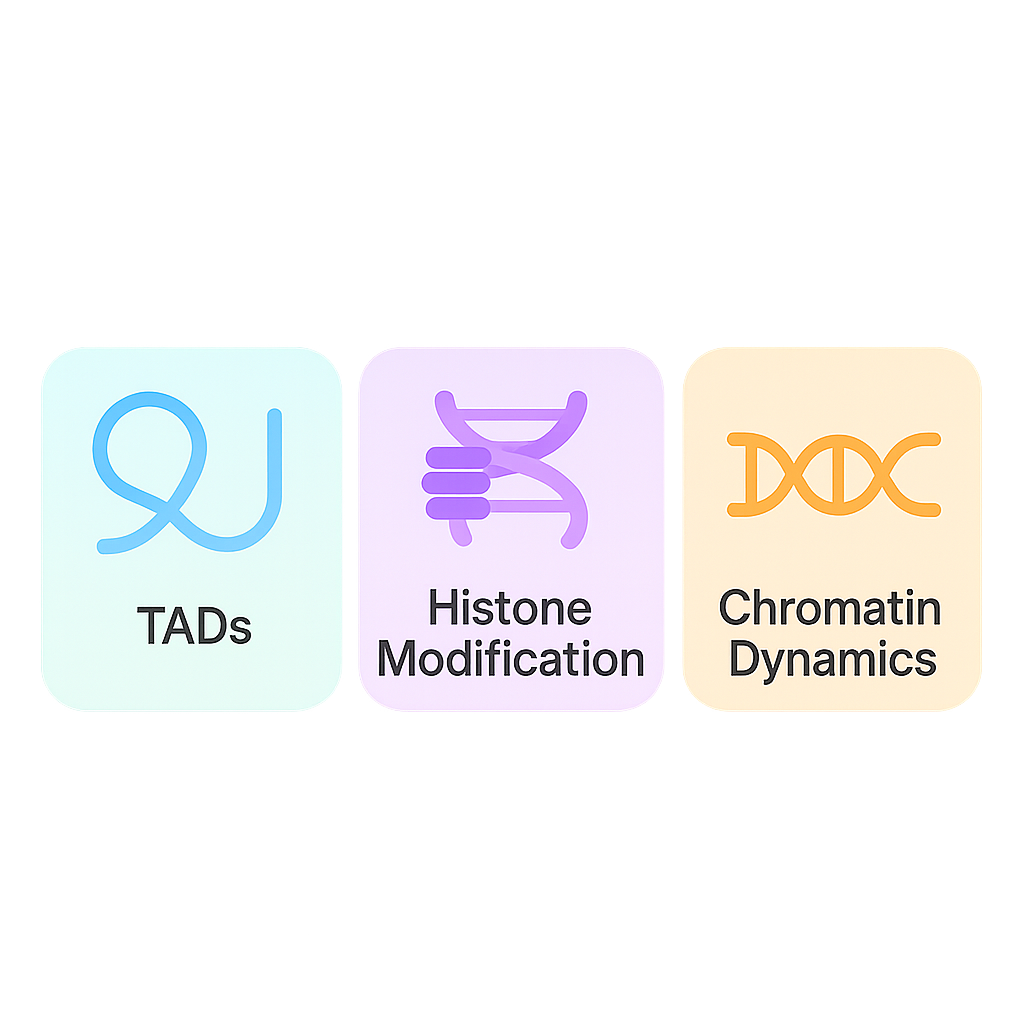 Mechanism to Clinic diagram